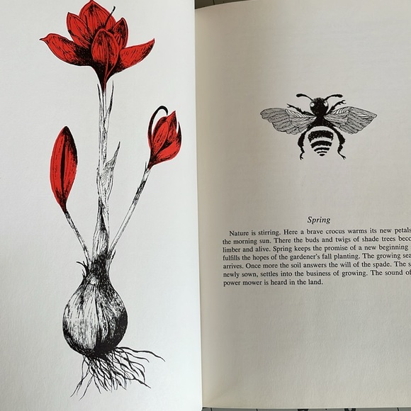 Around the Garden Week by Week, A Guide to Garden Planning... by Joan Lee Faust - Picture 7 of 16